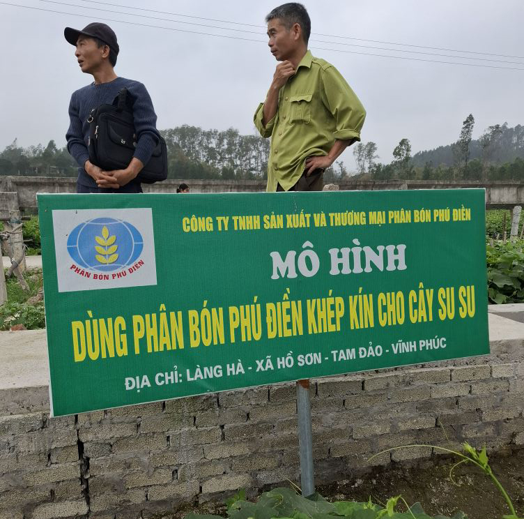 ​Sử dụng phân bón Phú Điền khép kín cho rau su su